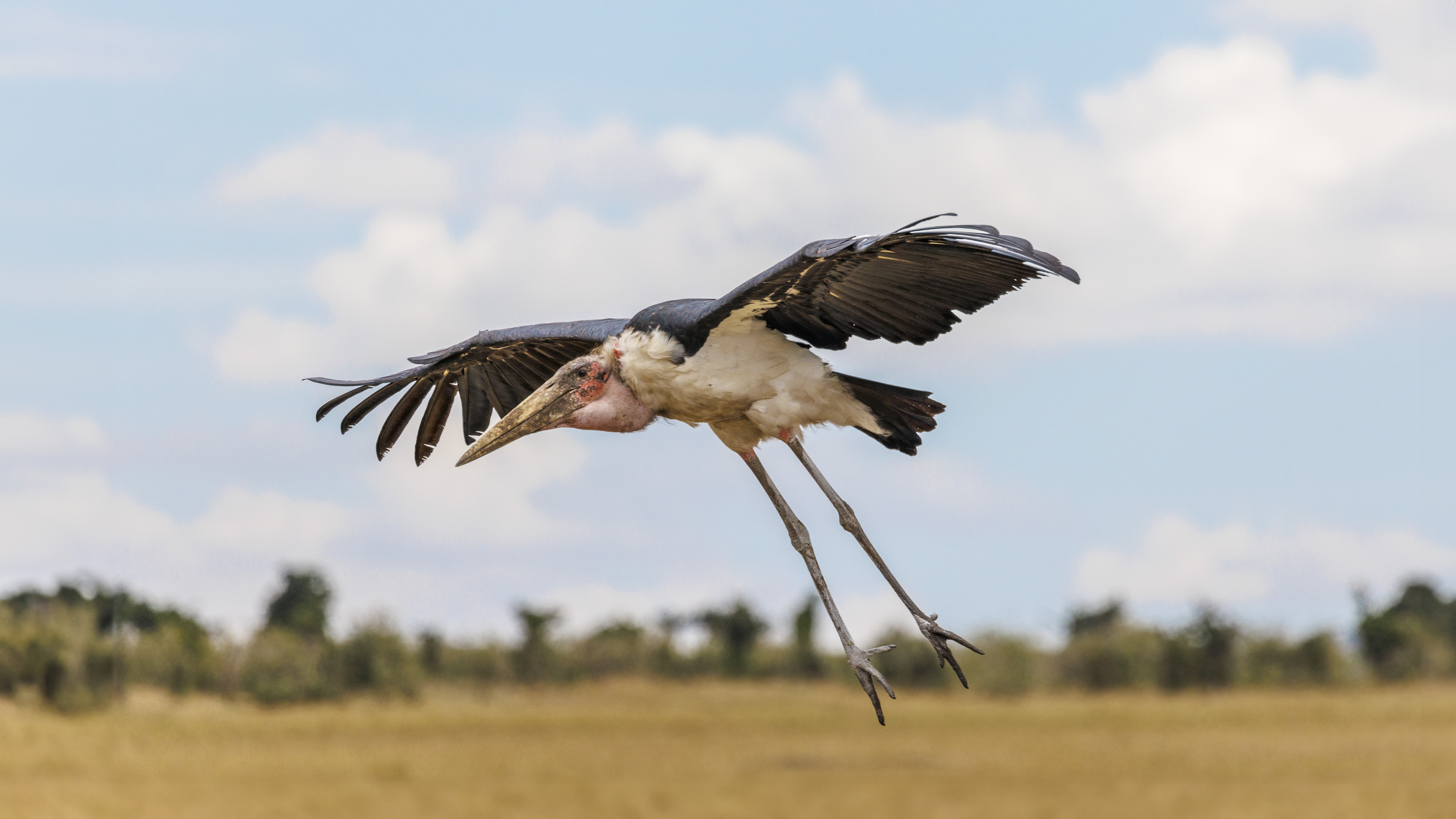 November 12, 2022-130908-2-Edit.jpg